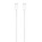 Apple 60W USB-C Charge Cable (1 m)